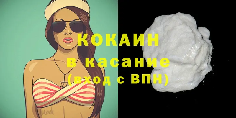 где купить наркоту  Райчихинск  Кокаин FishScale 