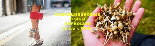 PSILOCYBIN Новозыбков