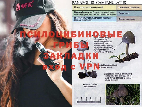 PSILOCYBIN Новозыбков