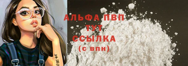 PSILOCYBIN Новозыбков