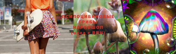 PSILOCYBIN Новозыбков
